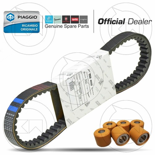 Cinghia trasmissione rulli - cinghia, +